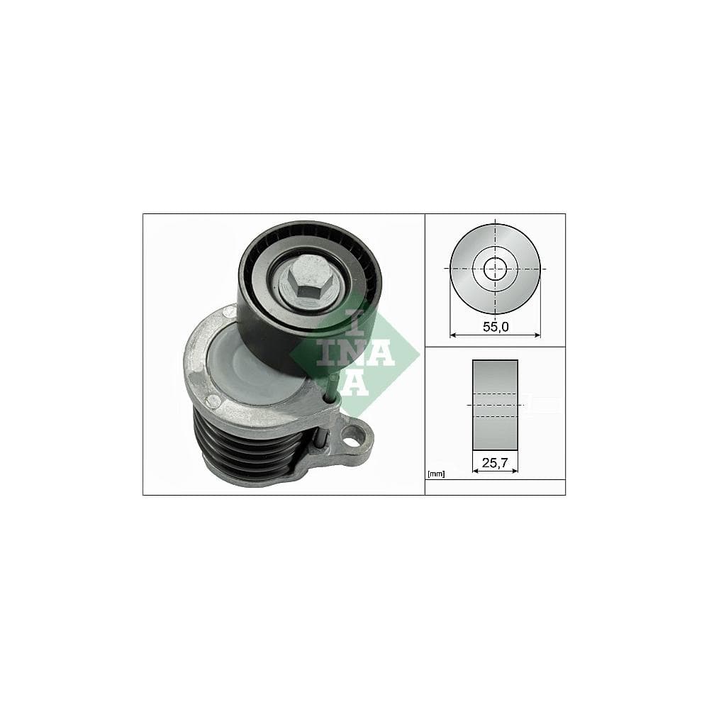 Intinzator curea, curea distributie Schaeffler INA 534 0591 10
