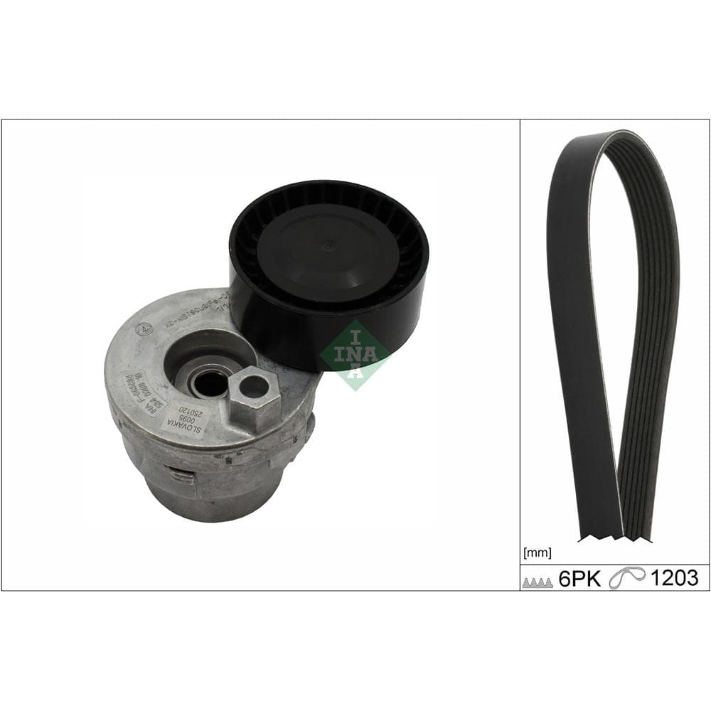 Set curea transmisie cu caneluri Schaeffler INA 529 0009 10