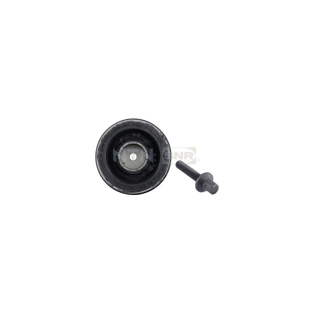 Fulie curea, arbore cotit SNR DPF350.01K1