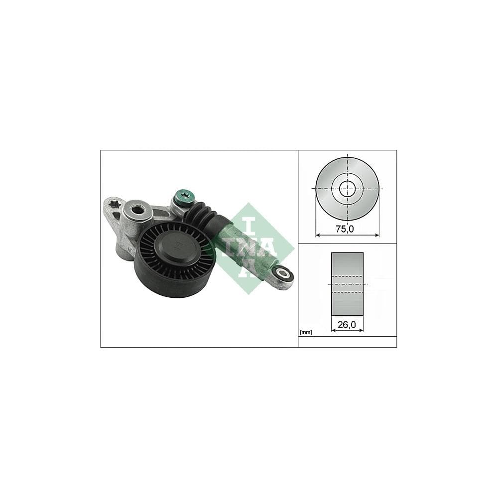 Intinzator curea, curea distributie Schaeffler INA 534 0098 10