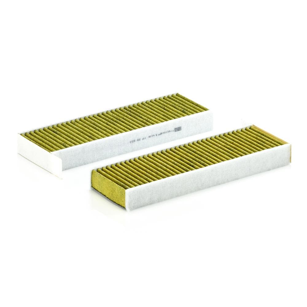 Filtru habitaclu MANN-FILTER FP 29 003-2