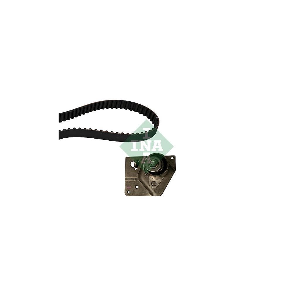 Set curea de distributie Schaeffler INA 530 0442 10