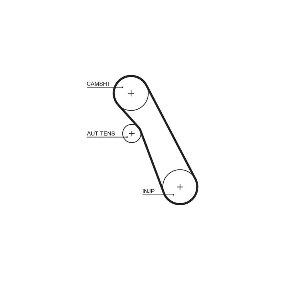 Curea de distributie GATES 5541XS
