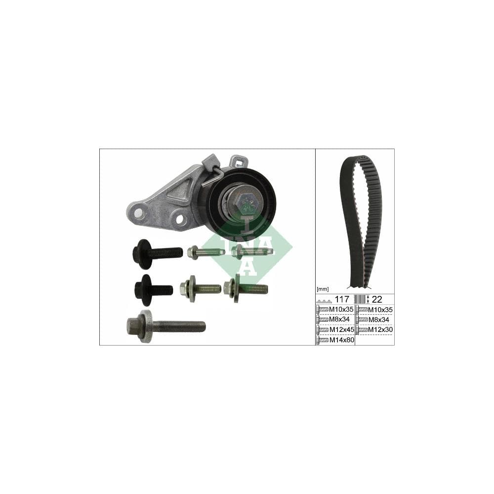 Set curea de distributie Schaeffler INA 530 0140 10