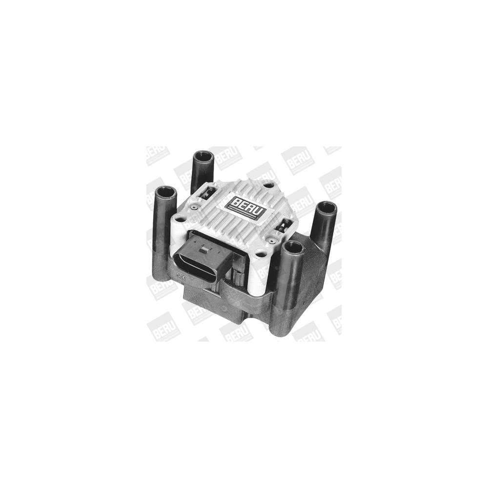 Bobina de inductie BorgWarner (BERU) ZSE003