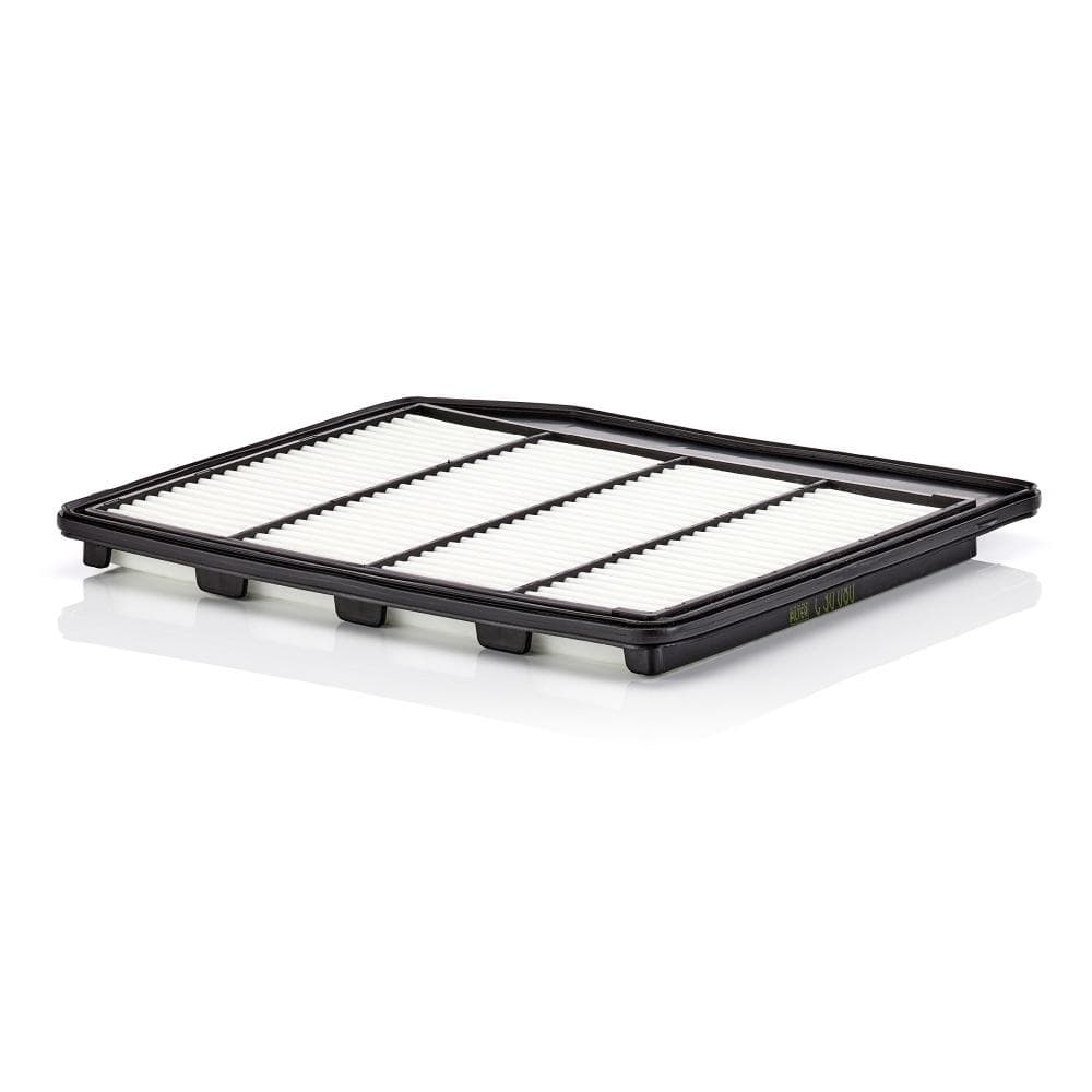 Filtru aer MANN-FILTER C 30 080