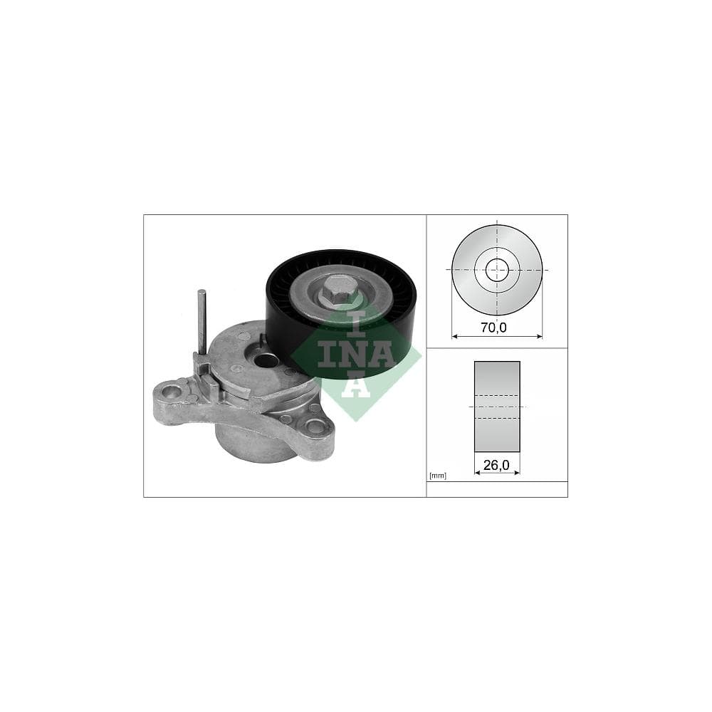 Intinzator curea, curea distributie Schaeffler INA 534 0666 10