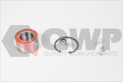 Set rulment roata QWP WWB117