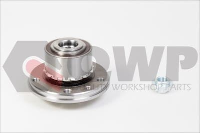 Set rulment roata QWP WWB173