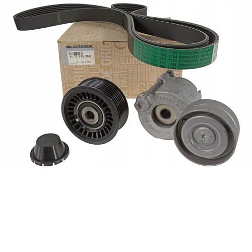 Set curea transmisie cu caneluri RENAULT 117207538R