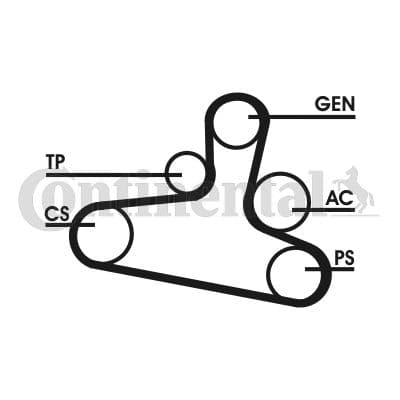 Set curea transmisie cu caneluri CONTINENTAL CTAM 6DPK1195D2