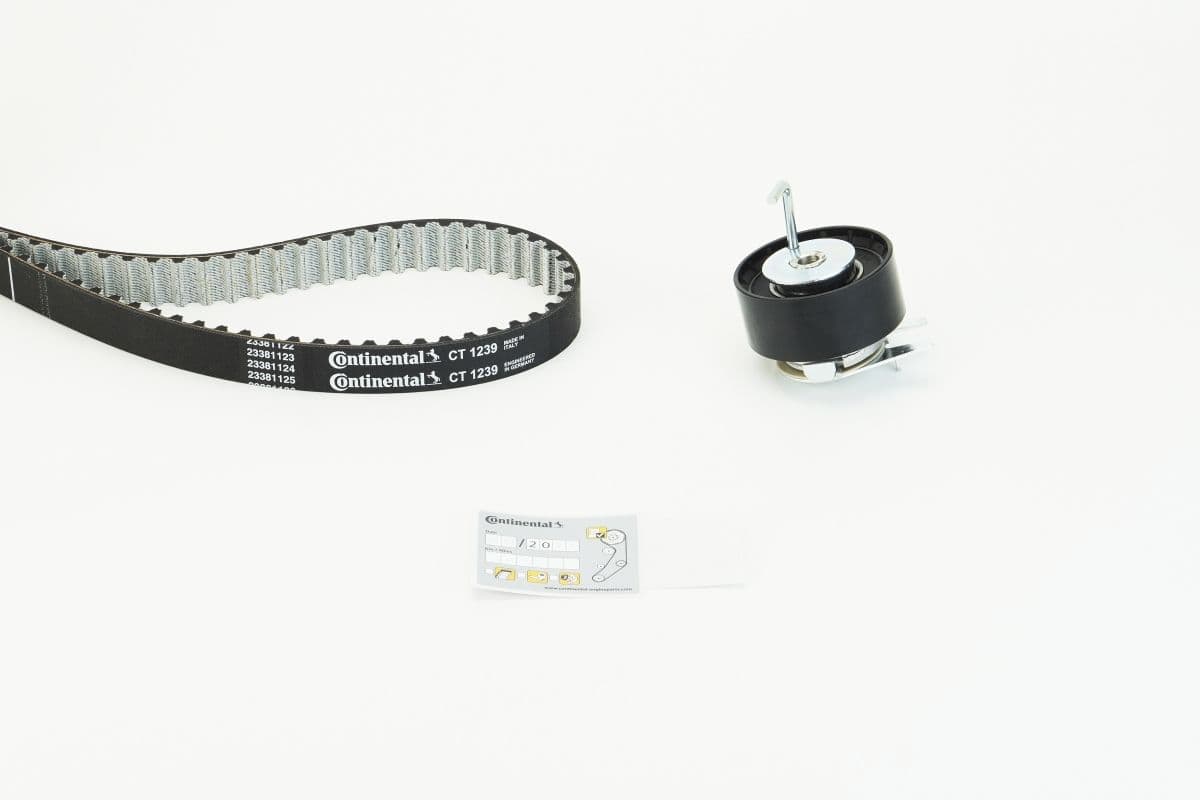 Set curea de distributie CONTINENTAL CTAM CT1239K1