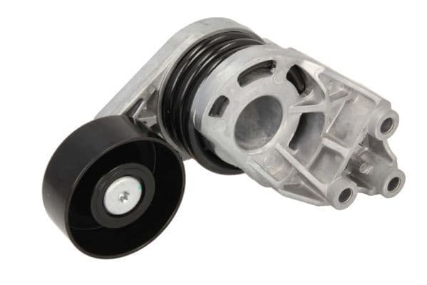 Intinzator curea, curea distributie BTA E3W0025BTA