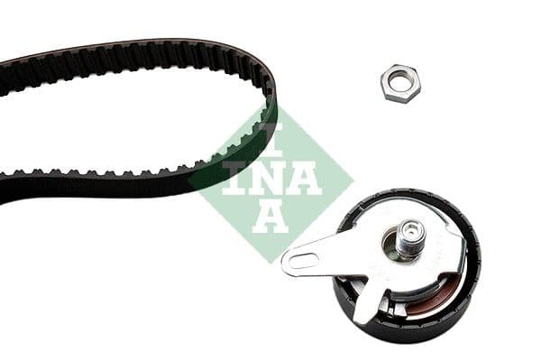 Set curea de distributie Schaeffler INA 530 0202 10