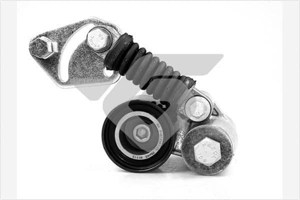 rola intinzator,curea transmisie HUTCHINSON T5014