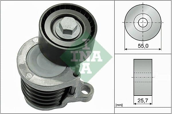 Intinzator curea, curea distributie Schaeffler INA 534 0591 10