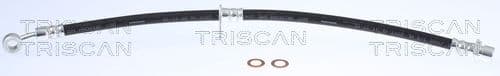 Furtun frana TRISCAN 8150 40127