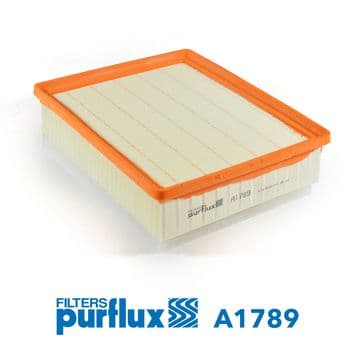 Filtru aer PURFLUX A1789