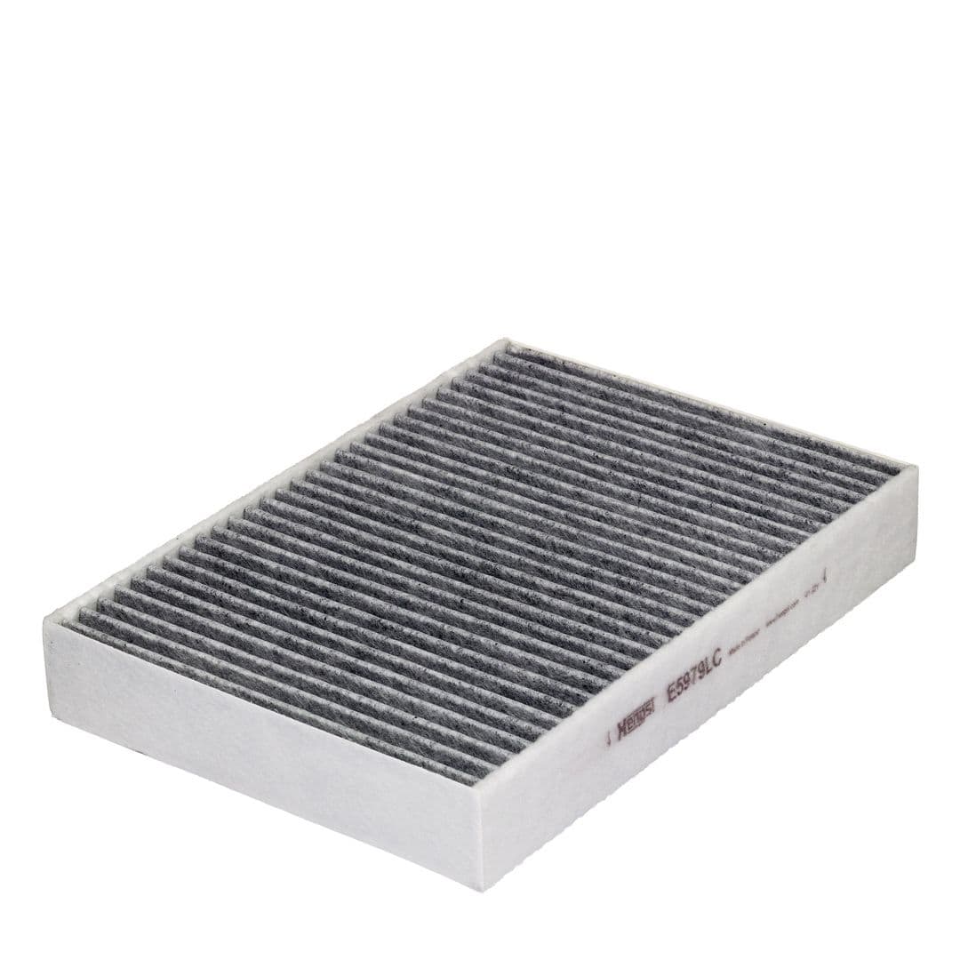 Filtru, aer habitaclu HENGST FILTER E5979LC