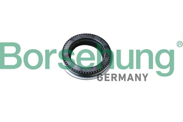 Rulment sarcina amortizor BORSEHUNG B18294