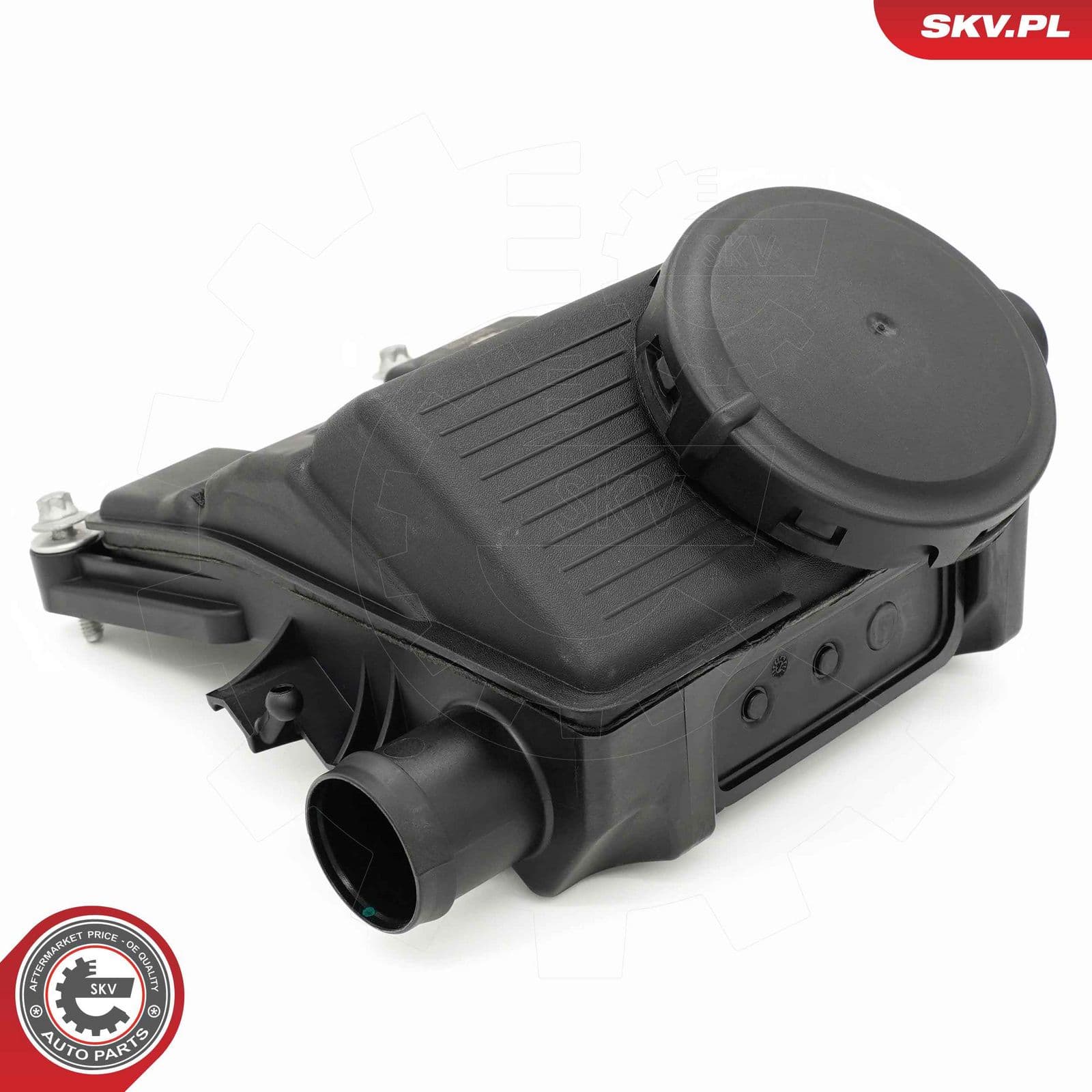 Separator ulei, ventilatie bloc motor ESEN SKV 31SKV432