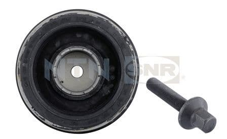 Fulie curea, arbore cotit SNR DPF350.01K1
