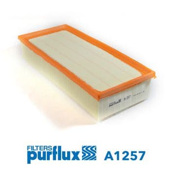 Filtru aer PURFLUX A1257