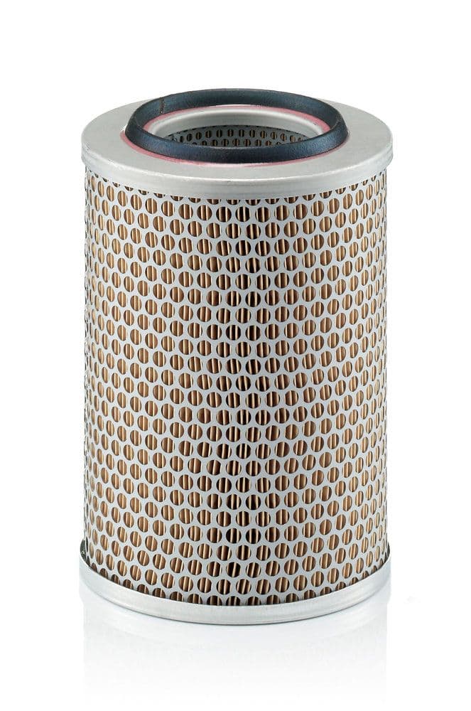 Filtru aer MANN-FILTER C 17 201