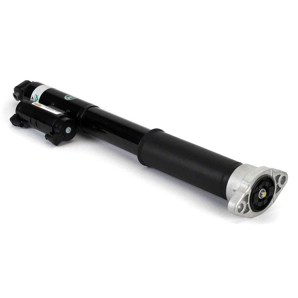 amortizor Arnott SK-3389