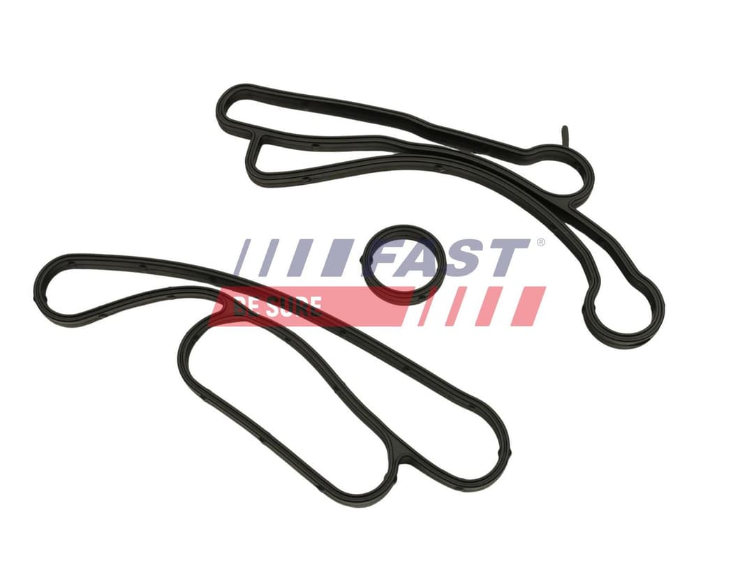 Inel de etanșare, radiator ulei (lubrifiere) FAST FT48938