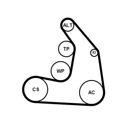 Set curea transmisie cu caneluri CONTINENTAL CTAM 5PK1255K1