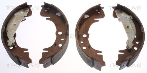 Set saboti frana TRISCAN 8100 10019