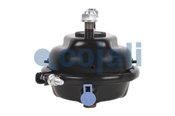 Cilindru receptor frana cu membrana COJALI 2351325