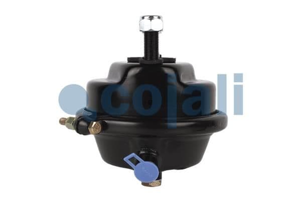 Cilindru receptor frana cu membrana COJALI 2351300