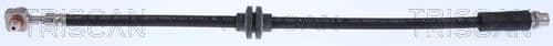 Furtun frana TRISCAN 8150 24138
