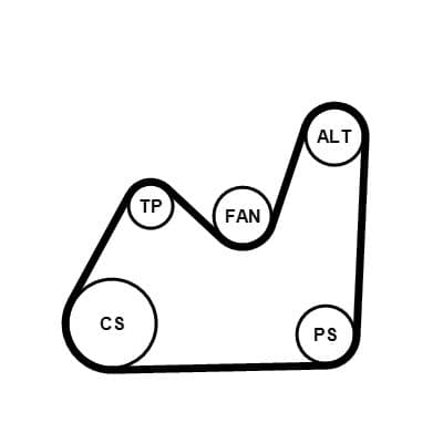 Set curea transmisie cu caneluri CONTINENTAL CTAM 5PK1432K1