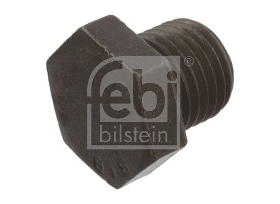 surub de golire,baia de ulei FEBI BILSTEIN 03160