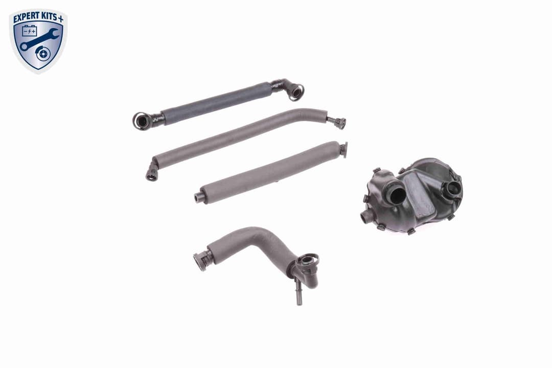 Set reparatie, aerisire baie ulei VAICO EXPERT KITS + V20-1872