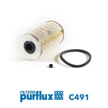 filtru combustibil PURFLUX C491