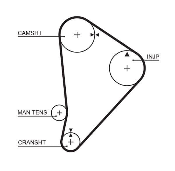 Curea de distributie GATES 5044