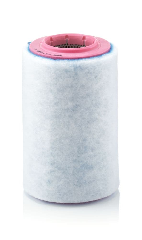 Filtru aer MANN-FILTER C 17 237/1