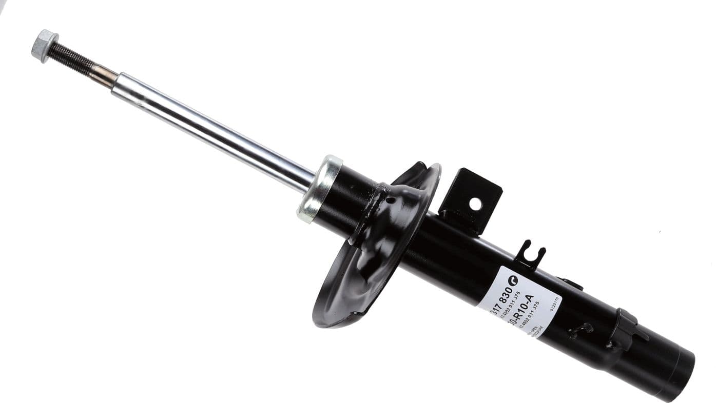 amortizor BOGE 30-R10-A