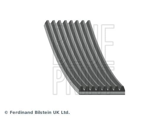 Curea transmisie cu caneluri BLUE PRINT AD08R1173