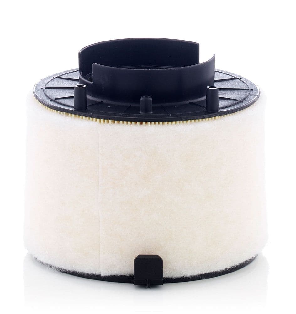 Filtru aer MANN-FILTER C 17 009