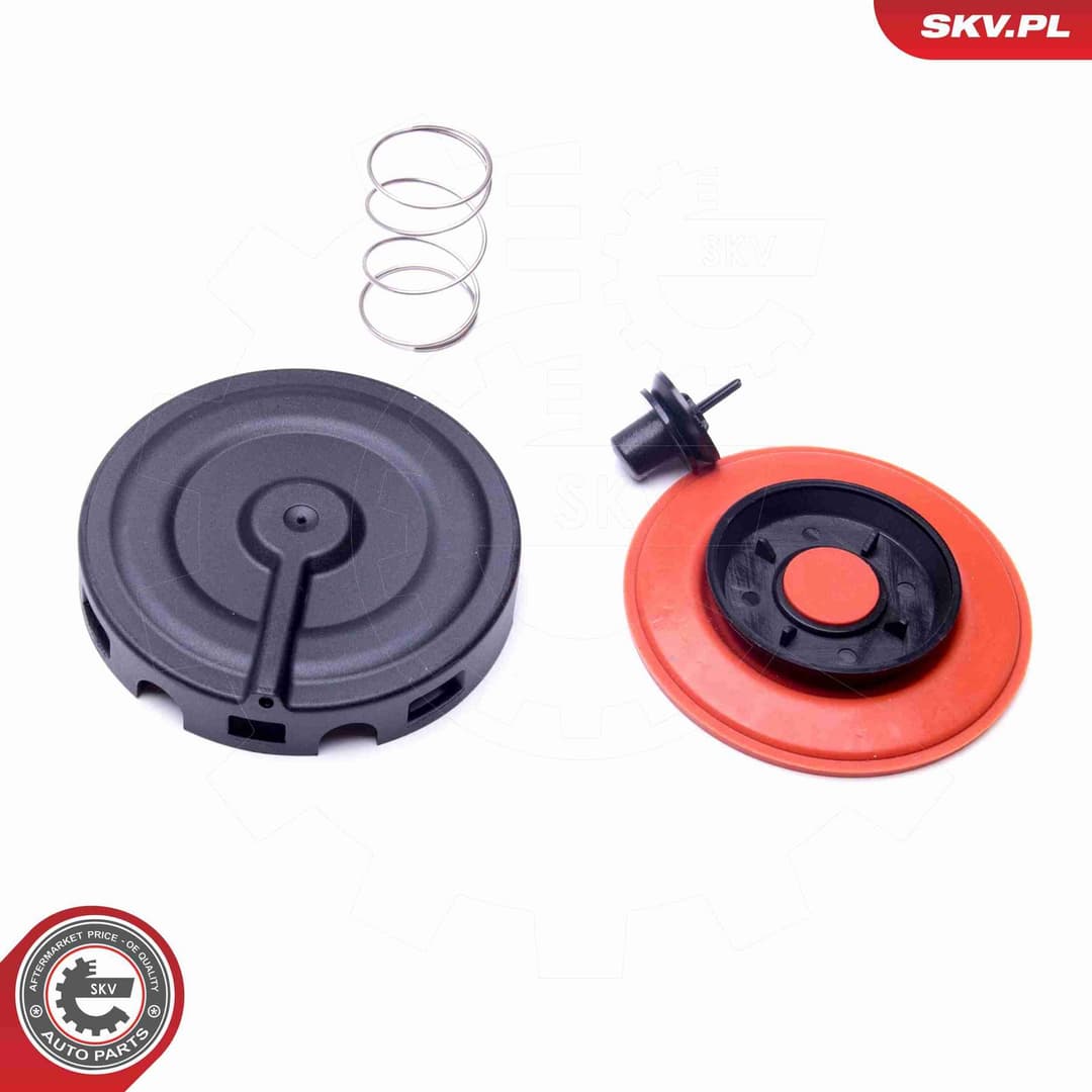 Separator ulei, ventilatie bloc motor ESEN SKV 96SKV056