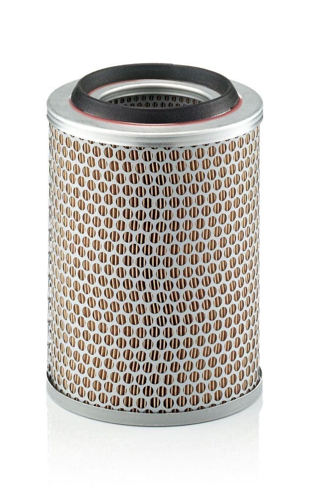 Filtru aer MANN-FILTER C 17 217