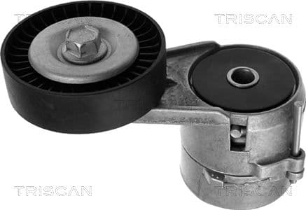 Intinzator curea, curea distributie TRISCAN 8641 243005