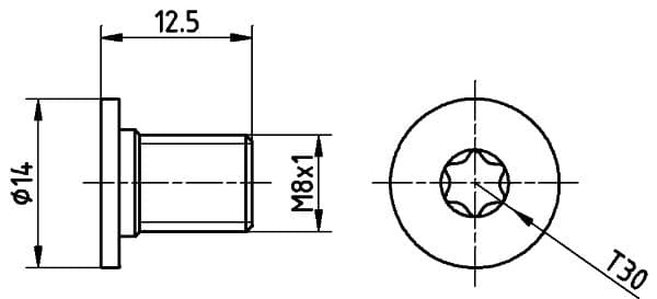 Surub, disc frana TEXTAR TPM0002