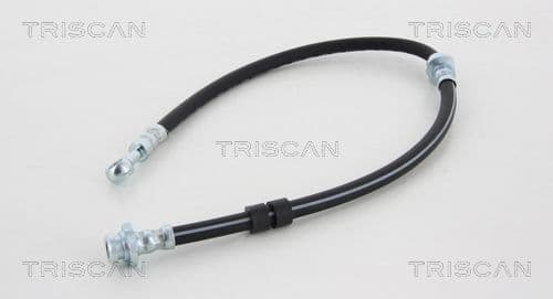 Furtun frana TRISCAN 8150 14243