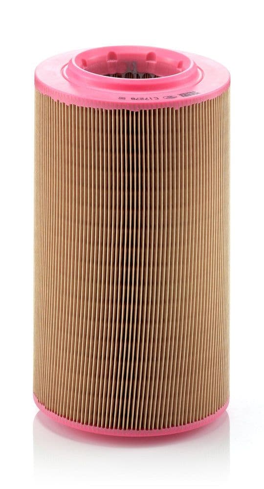 Filtru aer MANN-FILTER C 17 278